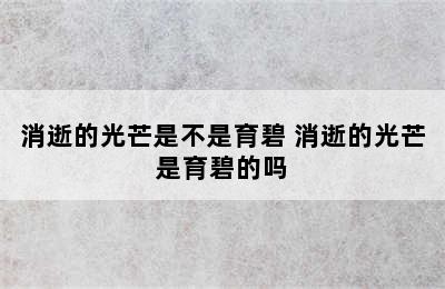 消逝的光芒是不是育碧 消逝的光芒是育碧的吗